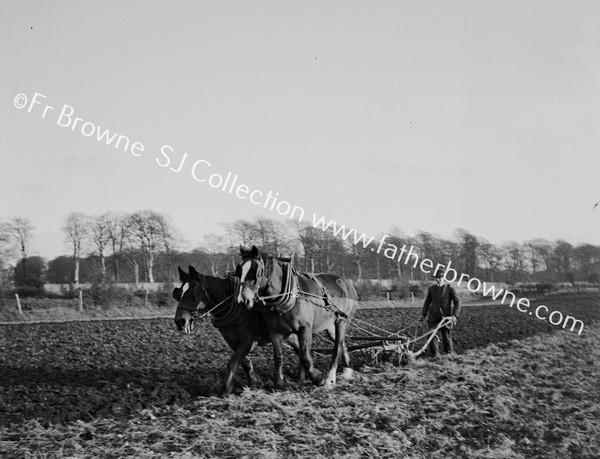 PLOUGHMAN WITH PAIR OF HORSES